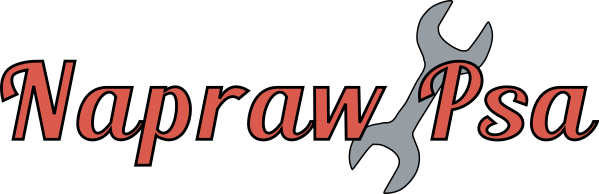 Napraw Psa